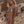 Carica l'immagine nel visualizzatore di Gallery, BRASSIERE STRIPES - TOOCO
