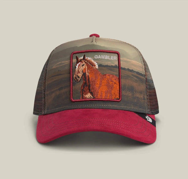 CAPPELLO - GOORIN BROS